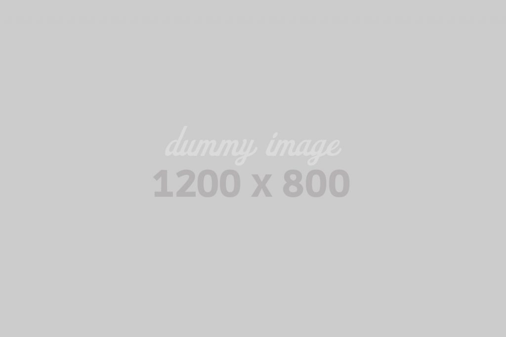 dummy1200800